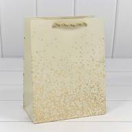 Пакет подарочный "Золотые вкрапления" (микс) 18*23*10 210г 1/20 1/180 Арт: 300368E - Пакет подарочный "Золотые вкрапления" (микс) 18*23*10 210г 1/20 1/180 Арт: 300368E