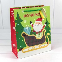 Пакет подарочный с окошком "Дед мороз на санках" Зелёный 26*32*13 1/20 1/120 Арт: 300373C