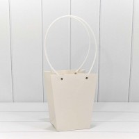 Пакет подарочный "Ваза для цветов" 20*17*12 Белый 1/10 1/120 Арт: 000170E/7