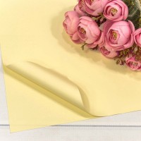 Плёнка в листах 60*60 (20 шт.) матовая "Корейская" 55мкм Песочный 1/60 Арт: 1698/2003