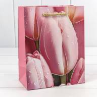 Пакет подарочный с блёстками "Тюльпаны" (микс) 18*23*10 210г 1/20 1/360 Арт: 000256E - Пакет подарочный с блёстками "Тюльпаны" (микс) 18*23*10 210г 1/20 1/360 Арт: 000256E