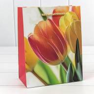 Пакет подарочный с блёстками "Тюльпаны" (микс) 18*23*10 210г 1/20 1/360 Арт: 000256E - Пакет подарочный с блёстками "Тюльпаны" (микс) 18*23*10 210г 1/20 1/360 Арт: 000256E